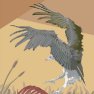 vector-vulture