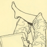 ink-female-laying-01